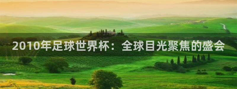 2026世界杯亚洲区预选赛:2010年足球世界杯:全球目光聚焦的盛会