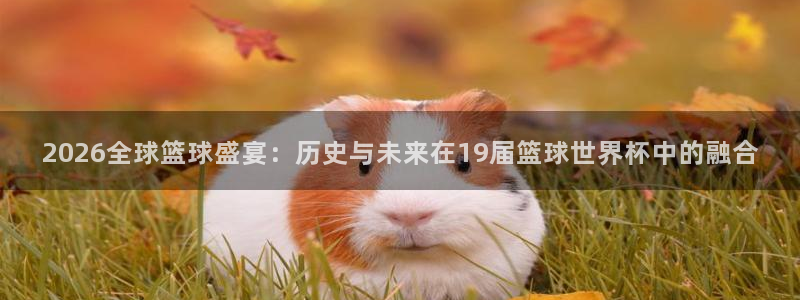 世界杯直播网站:2026全球篮球盛宴:历史与未来在19届篮球世界杯中的融合
