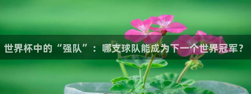 国际足联世界杯:世界杯中的“强队”:哪支球队能成为下一个世界冠军?