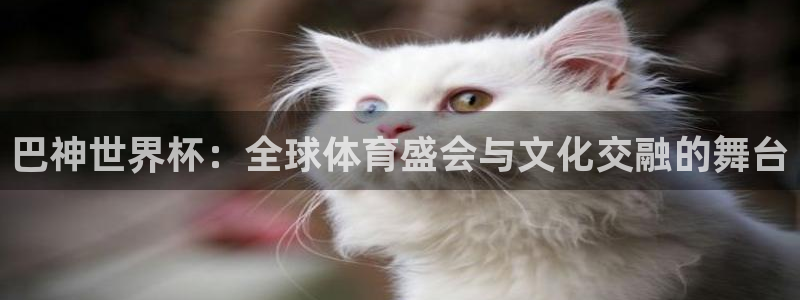 2026世界杯倒计时:巴神世界杯:全球体育盛会与文化交融的舞台