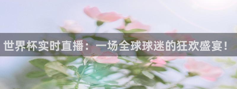 2026足球世界杯赛程:世界杯实时直播:一场全球球迷的狂欢盛宴!