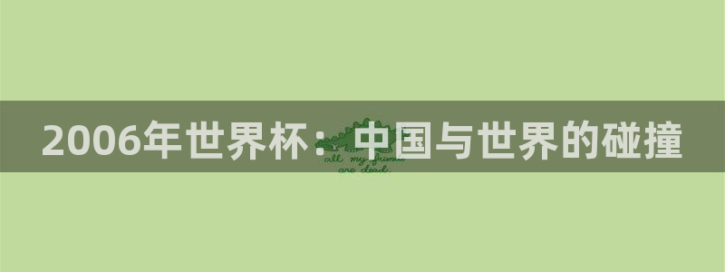 2026年男足世界杯:2006年世界杯:中国与世界的碰撞
