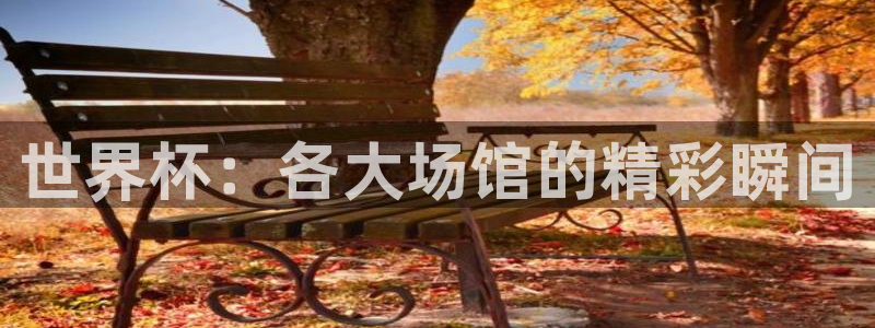 2026世界杯亚洲预选赛:世界杯:各大场馆的精彩瞬间