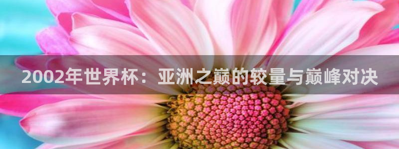 今年的世界杯:2002年世界杯:亚洲之巅的较量与巅峰对决